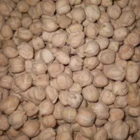 نخود سفید درجه یک