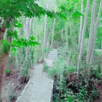 باغ تفریحی زاگرس پل زمانخان