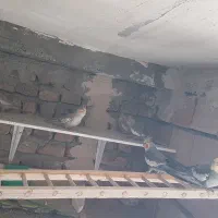 عروس هلندی