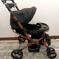 کالاسکه دلیجان مدل بنیتا جدید