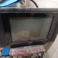 تلویزیون