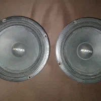 میدرنج سایز ۶.۵ اواتار