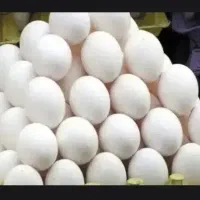 تخم مرغ تبریز