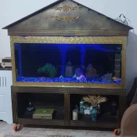 آکواریوم بزرگ