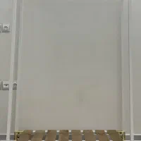 رگال
