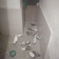 گرفتی