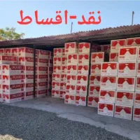 پکیج ایران رادیاتور مدل L24(پرفروش ترین)