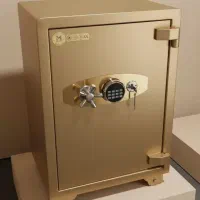 ساخت انواع گاوصندوق سفارشی در سمنان