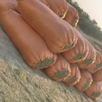 یونجه خرمنکوب درجه یک