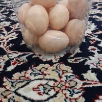 تخم‌مرغ امورفروشی