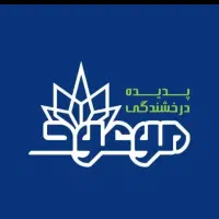نیروی کار
