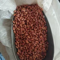 حبوبات چیتی کیلو ۲۸۰