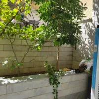 خانه