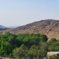 باغ