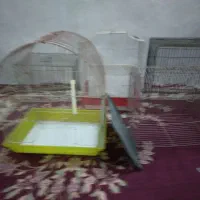 ۶ عدد قفس