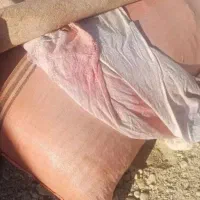 کاه عدس