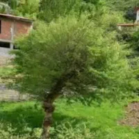 زمین ۲۲۰متری