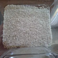 برنج هاشمی درجه یک سورتینگ شده