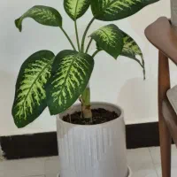 گلدان دوعدد بدون گل
