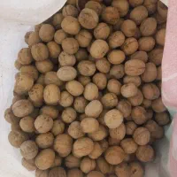 گردو|خوردنی و آشامیدنی|خورموج, |دیوار