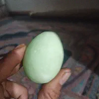 سنگ زینتی