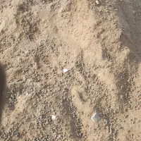 کود دامی|خدمات باغبانی و درختکاری|هشتگرد, فاز ۱ مهستان|دیوار