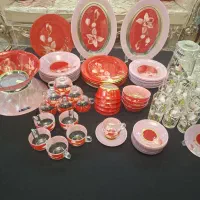 ظروف سرویس پذیرایی ارکوپال فرانسه