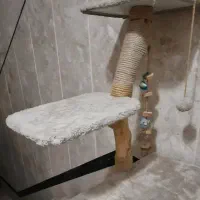 درخت گربه