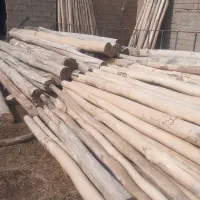 خریدار انواع چوب