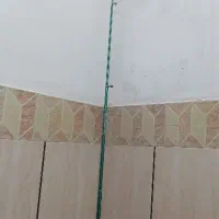 لنسر ماهیگیری