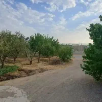 باغ-میوه-فروشی-فوری-60-000-000-000