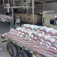 گچ سمنان مومن آباد،سوپر نگین گیپتون/گچ و خاک آماده