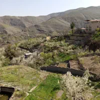 سوئیت زشک