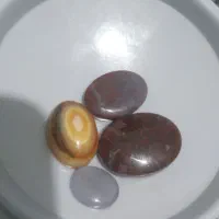 نگین باباقوری وشجردیایی