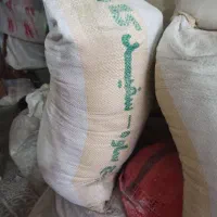 دوعدد گچ