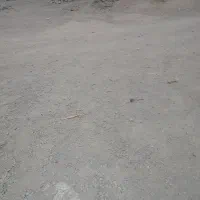 زمین
