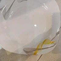 سرویس آرکوپال پارس اپال