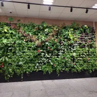 پشتیبان فضای سبز