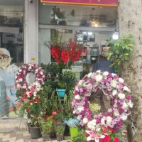 برای همکاری درگلفروشی
