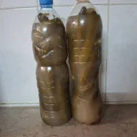 خیارشور خونگی چیلرهای فریز وخشک‌