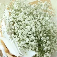 دسته گل رایگان بخاطر تولدم