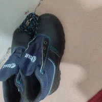 دوجفت کفش کار