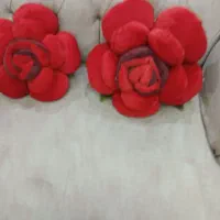 گل رز  مخملی