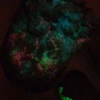 سنگ گوهر شب چراغ خاص