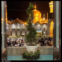 تور مشهدبا اتوبوس قطار هواپیماخدمات کامل گشت قسطی