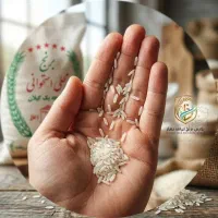 برنج ایرانی محلی استخوانی گیلان (درجه یک و خالص)