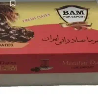 کارتن سنجاق میزنیم بم