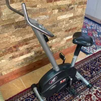 دوچرخه ثابت بادی اسکالیپچر