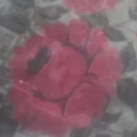 بشقاب رنگ گل کاری ساختمان و در پنجره