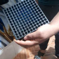 xbox series x|کنسول، بازی ویدئویی و آنلاین|اهواز, زیتون کارمندی|دیوار
